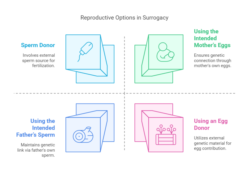 Reproductive Options in Surrogacy