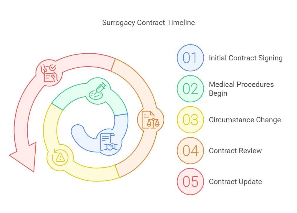 Surrogacy Contract Timeline