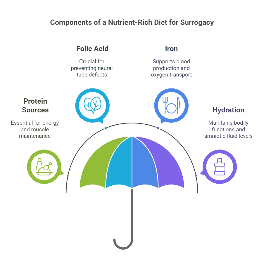 Components of a Nutrient-Rich Diet for Surrogacy