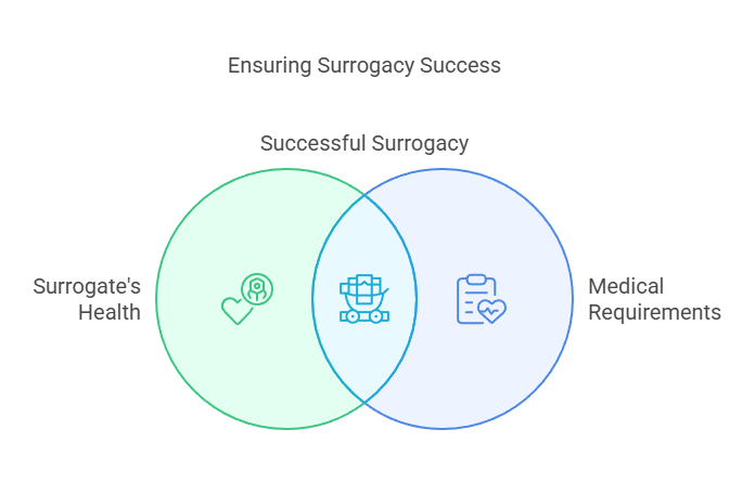 Ensuring Surrogacy Success