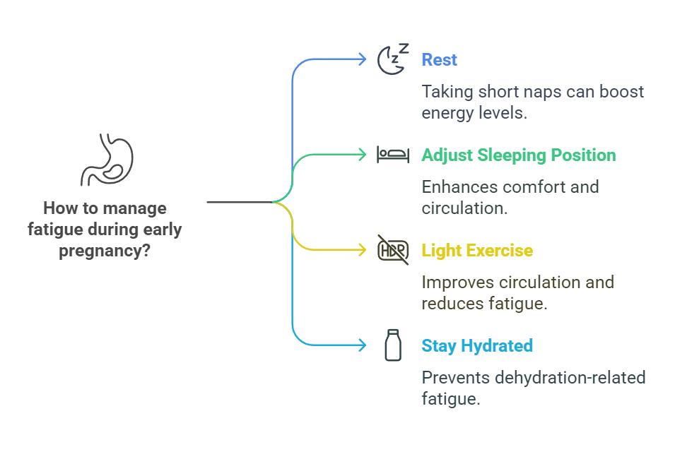 How to manage fatigue during early pregnancy?