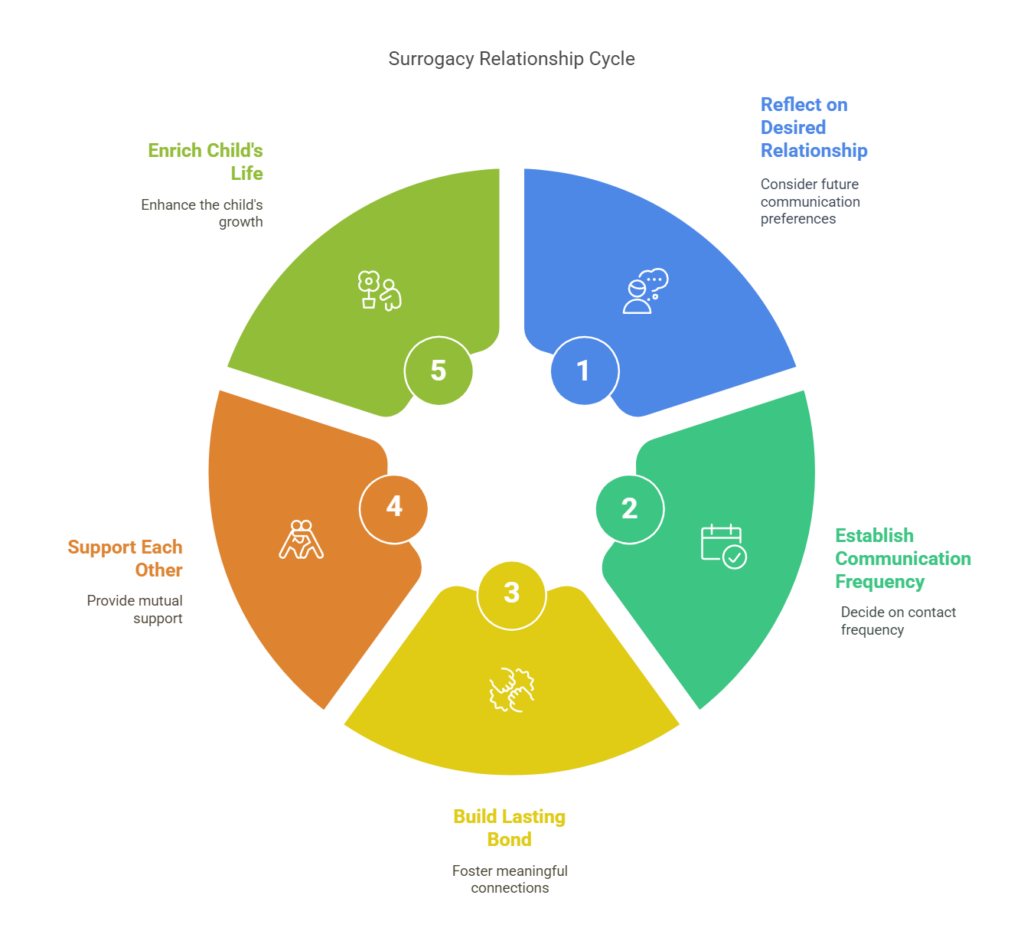 Surrogacy Relationship Cycle