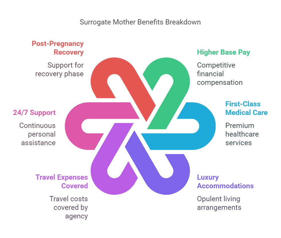 Surrogate Mother Benefits Breakdown