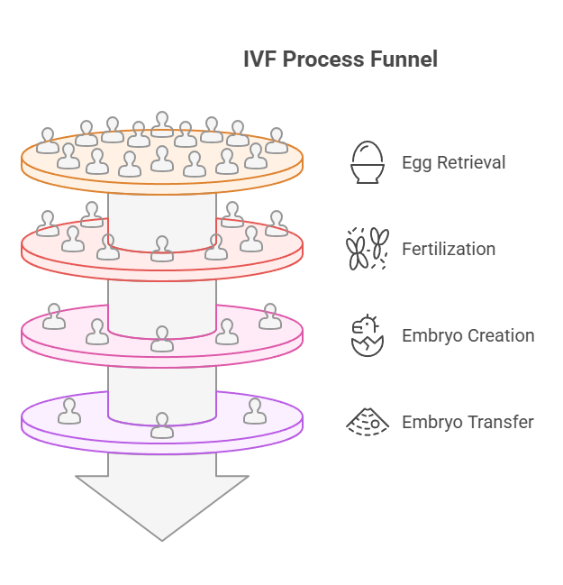 IVF Process Funnel