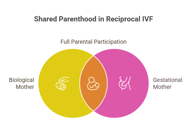 Shared Parenthood in Reciprocal IVF