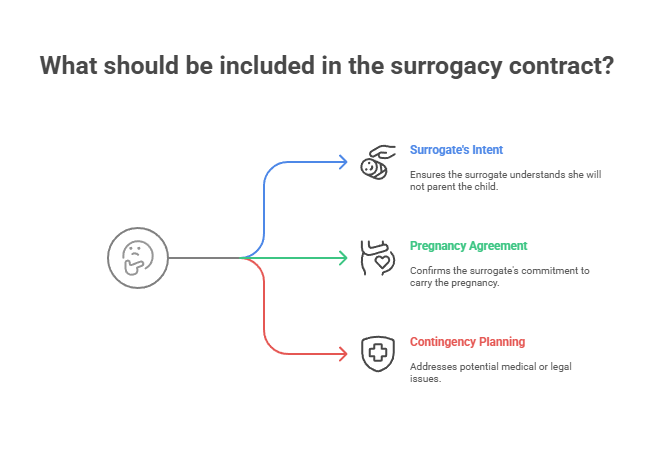 What should be included in the surrogacy contract?