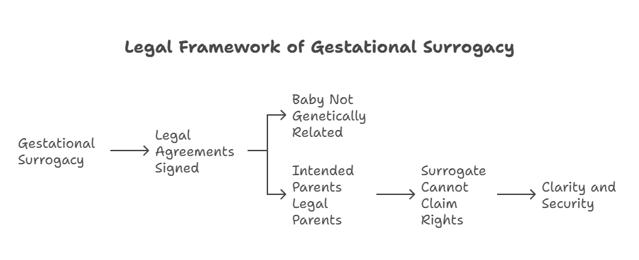 Legal Framework of Gestational Surrogacy