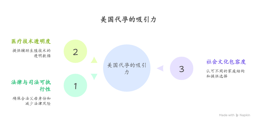 美国代孕的吸引力